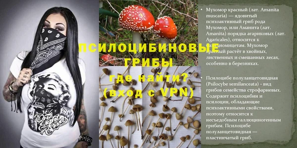 каннабис Пролетарск