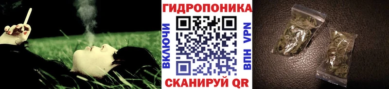 Бошки Шишки семена  Цивильск 